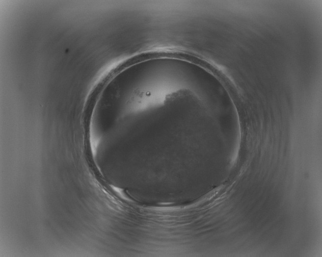 X0000077991319200611101718