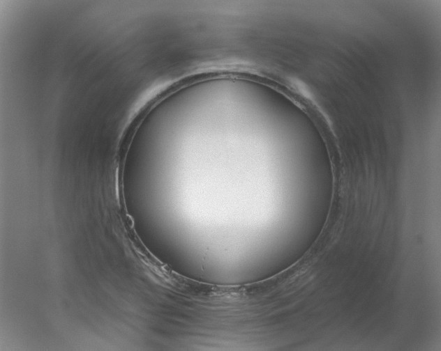 X0000077991320200611101718