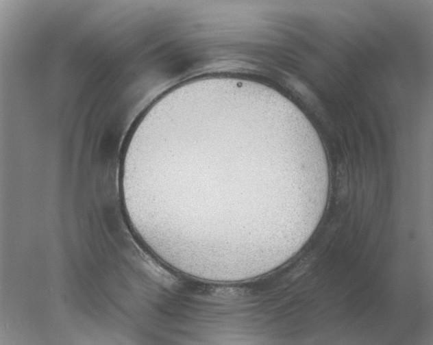 X0000077991322200611101718