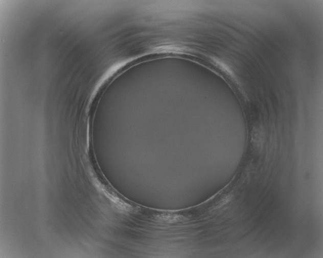 X0000077991323200611101718