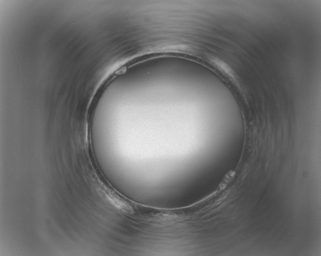 X0000077991324200611101718