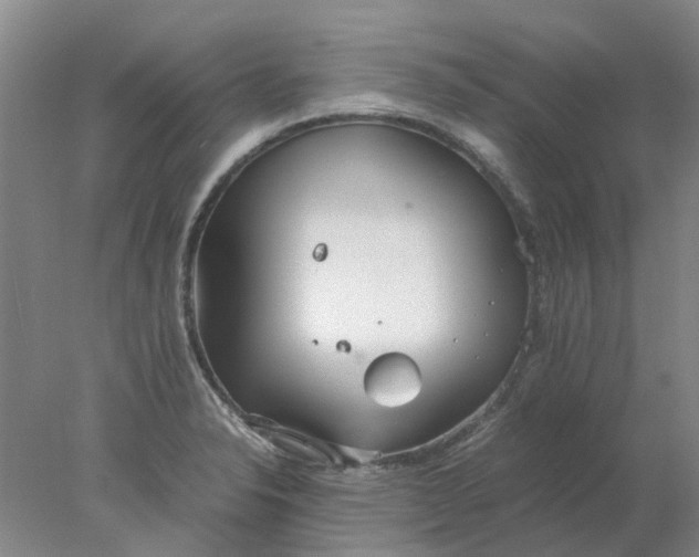 X0000077991326200611101718