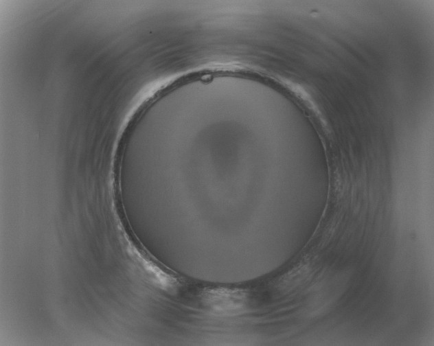 X0000077991327200611101718