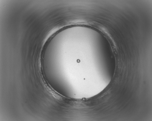 X0000077991328200611101718