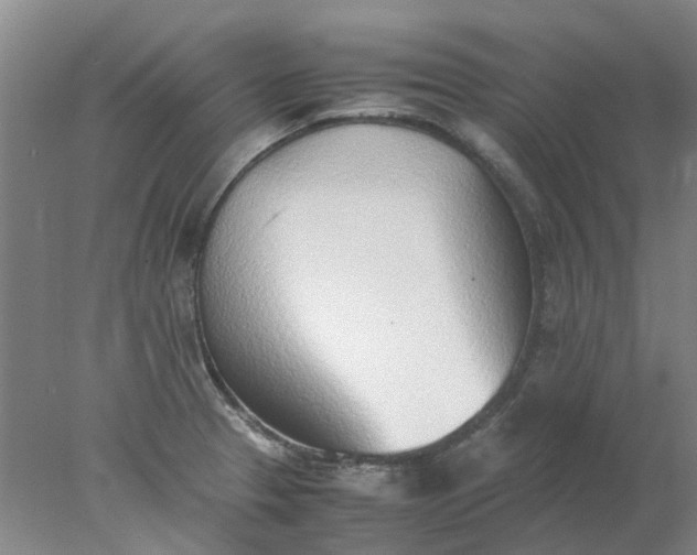 X0000077991329200611101718