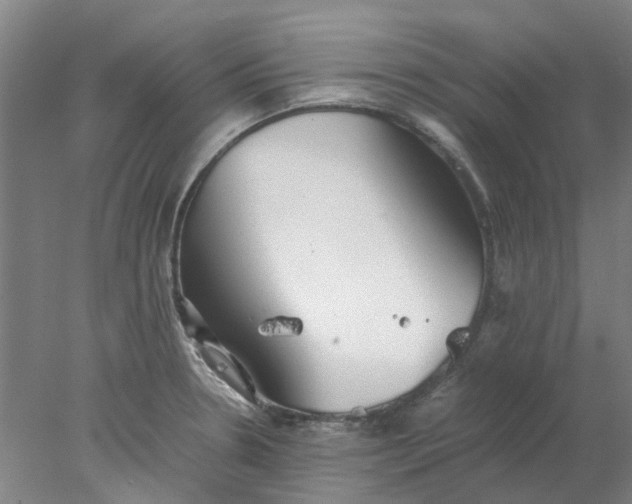 X0000077991330200611101718