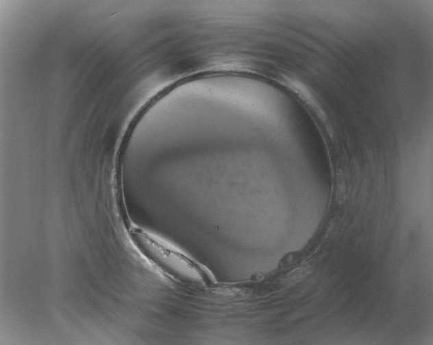 X0000077991331200611101718