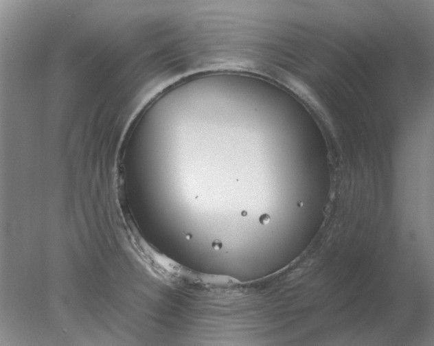 X0000077991332200611101718