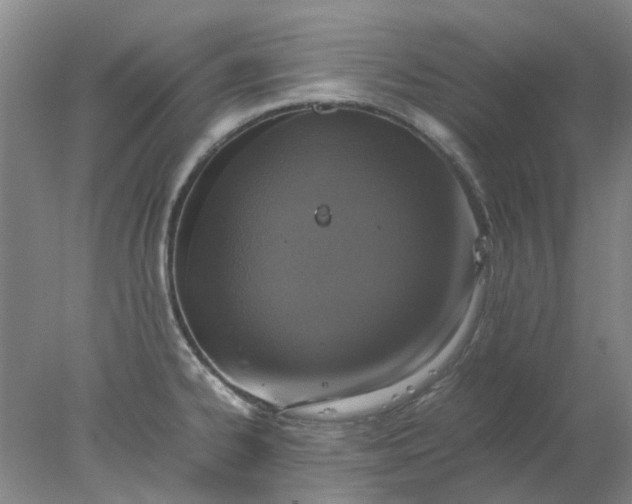 X0000077991334200611101718