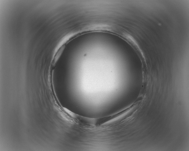 X0000077991336200611101718