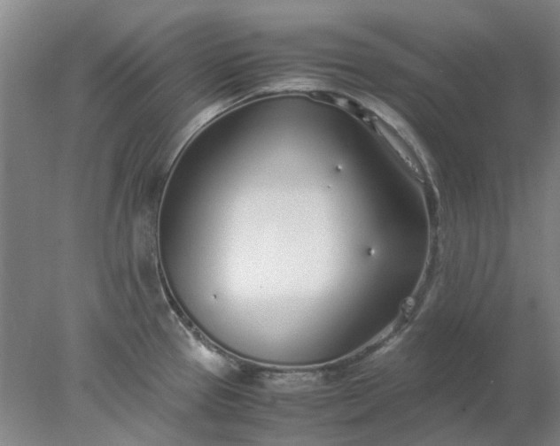 X0000077991337200611101718