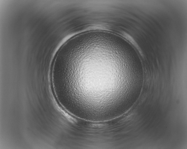 X0000077991339200611101718