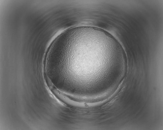 X0000077991341200611101718