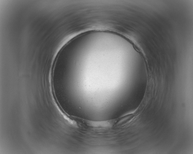 X0000077991343200611101718