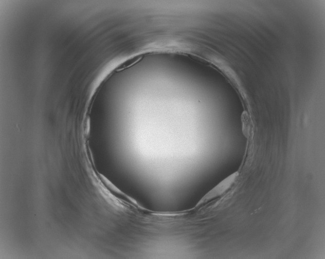 X0000077991344200611101718