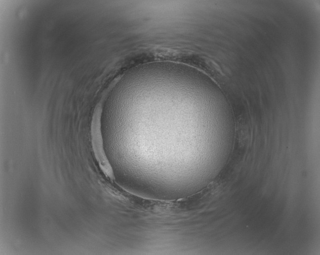 X0000077991345200611101717