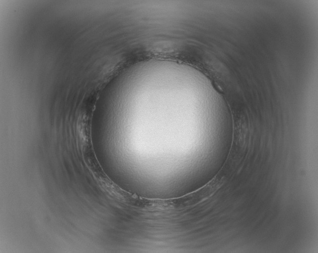 X0000077991346200611101717