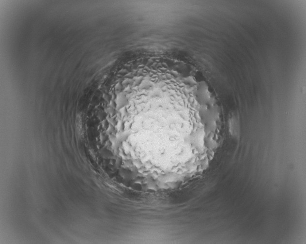 X0000077991347200611101717