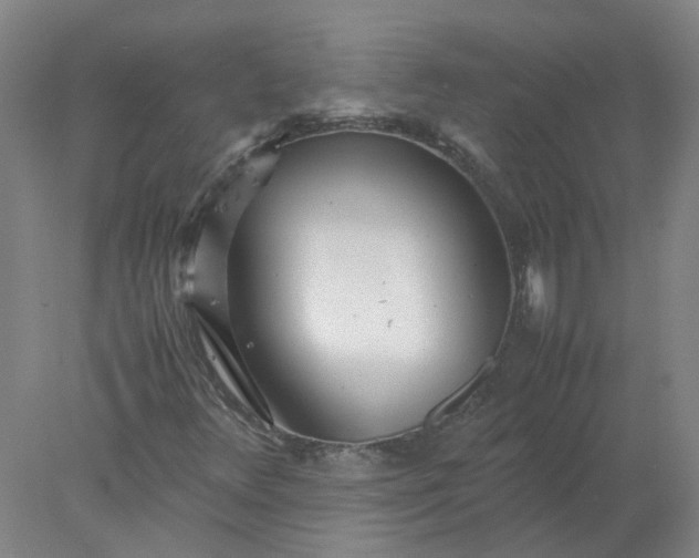 X0000077991348200611101717