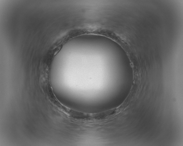 X0000077991349200611101717