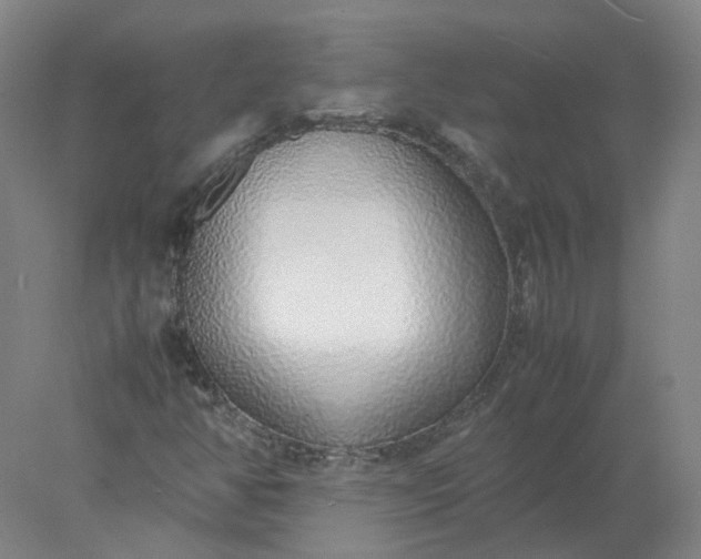 X0000077991350200611101717