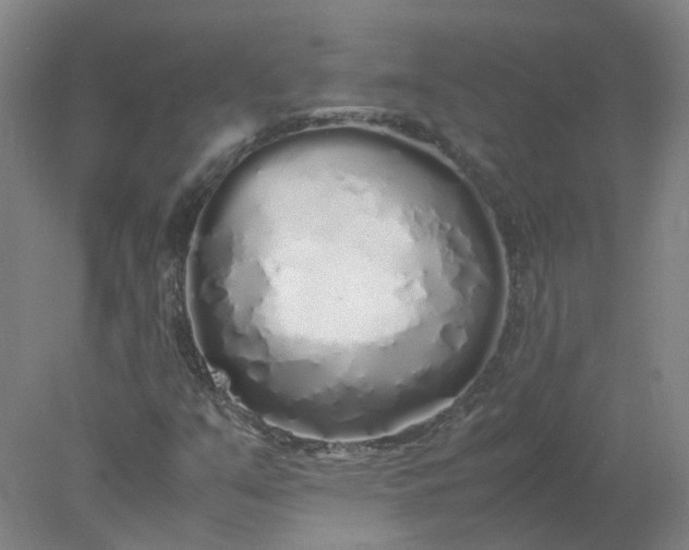 X0000077991351200611101717