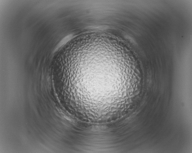 X0000077991354200611101717