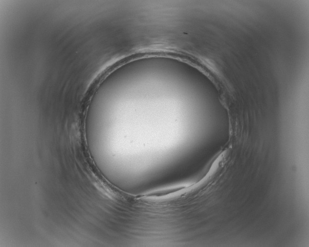 X0000077991356200611101717