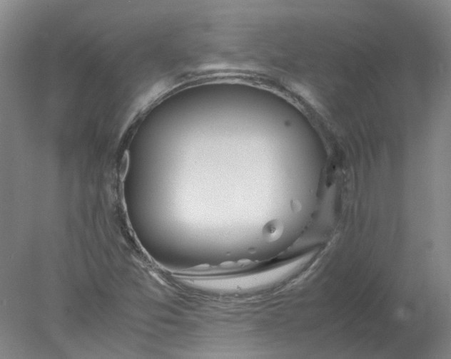 X0000077991357200611101717