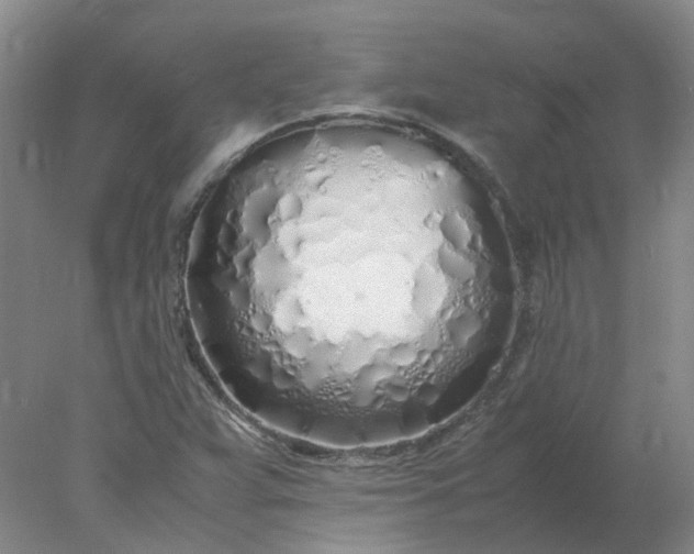 X0000077991359200611101717