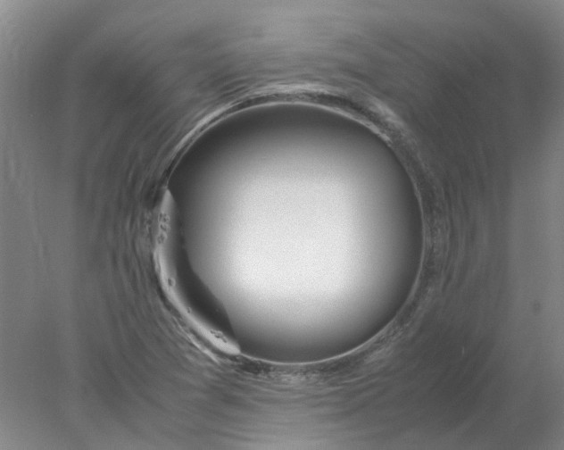 X0000077991361200611101717