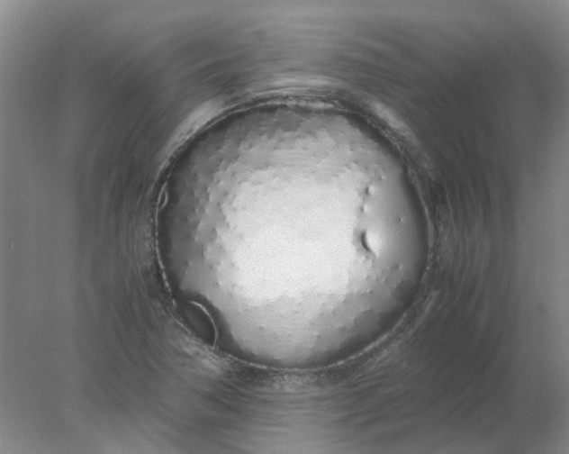 X0000077991362200611101717