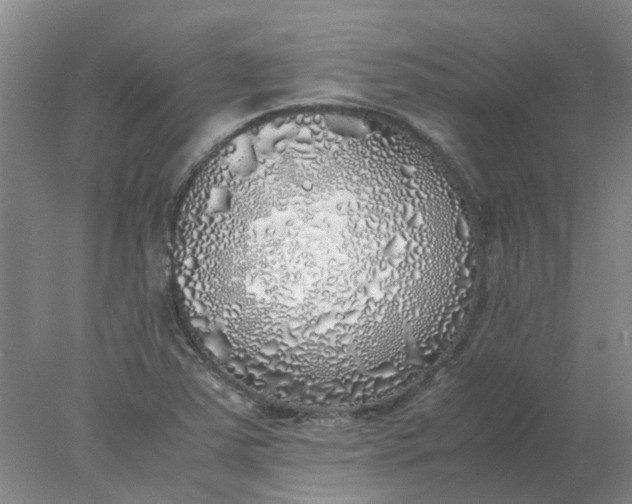 X0000077991363200611101717