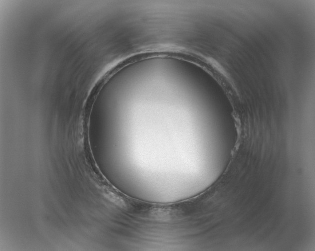 X0000077991364200611101717