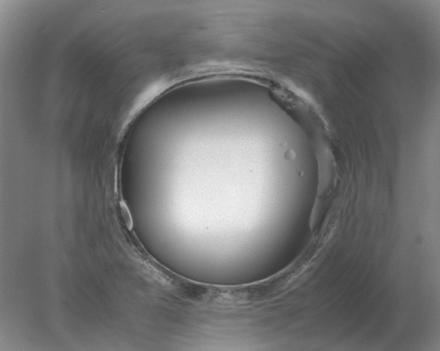 X0000077991365200611101717