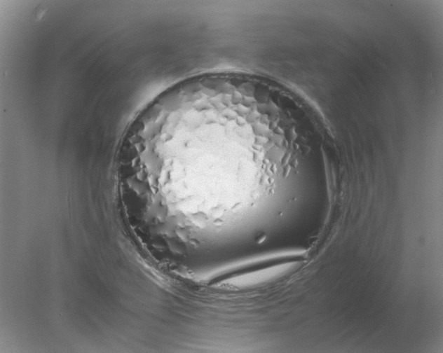 X0000077991367200611101717