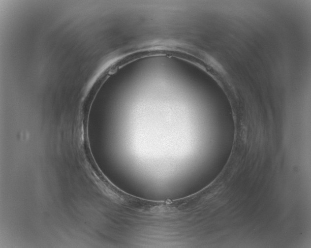 X0000077991368200611101717