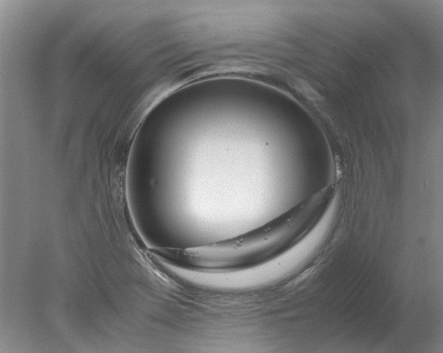 X0000077991369200611101717