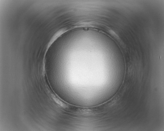 X0000077991370200611101717