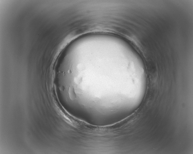 X0000077991371200611101717