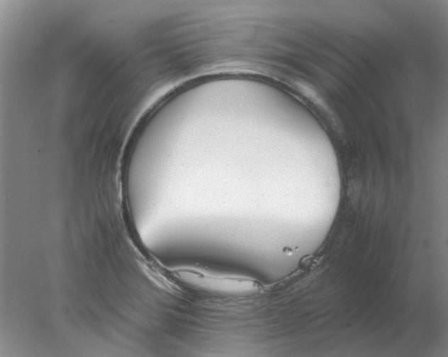 X0000077991372200611101717