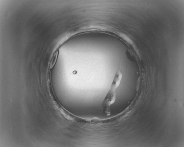 X0000077991373200611101717