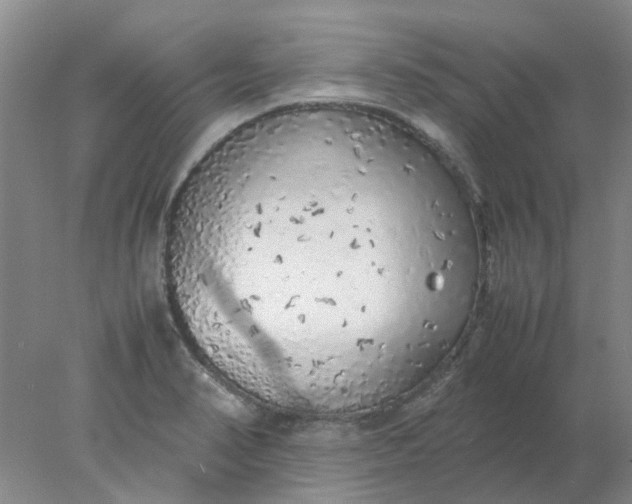 X0000077991374200611101717