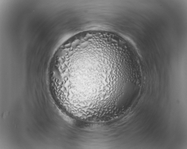 X0000077991375200611101717