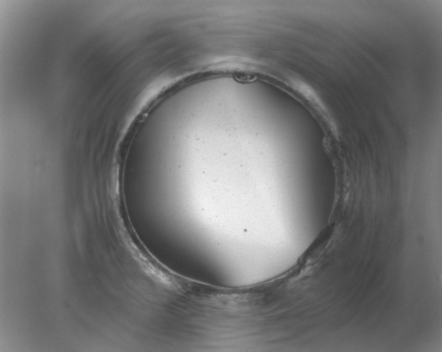 X0000077991376200611101717