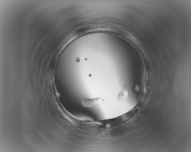 X0000077991377200611101717