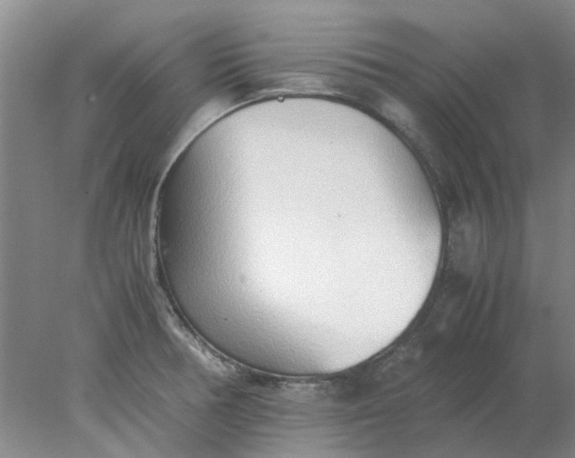 X0000077991378200611101717