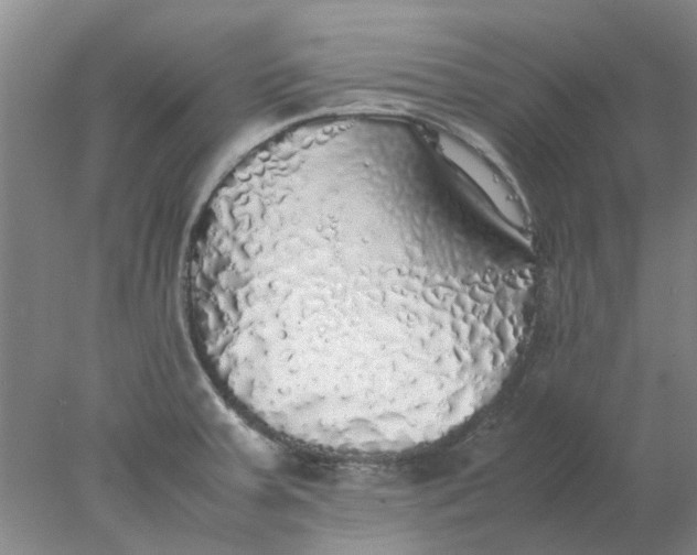 X0000077991379200611101717