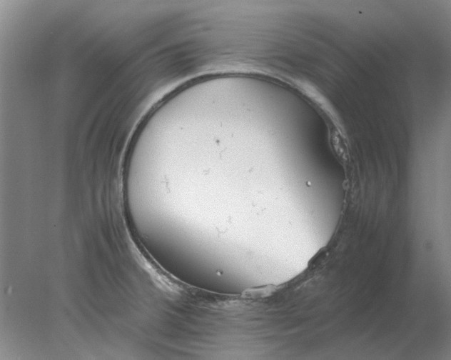 X0000077991380200611101717