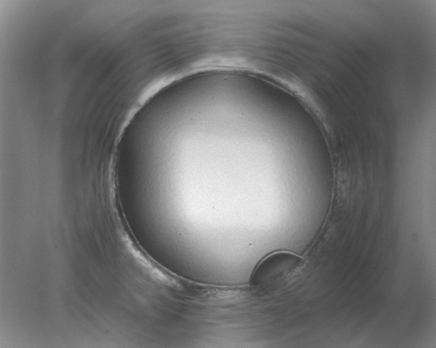 X0000077991382200611101717